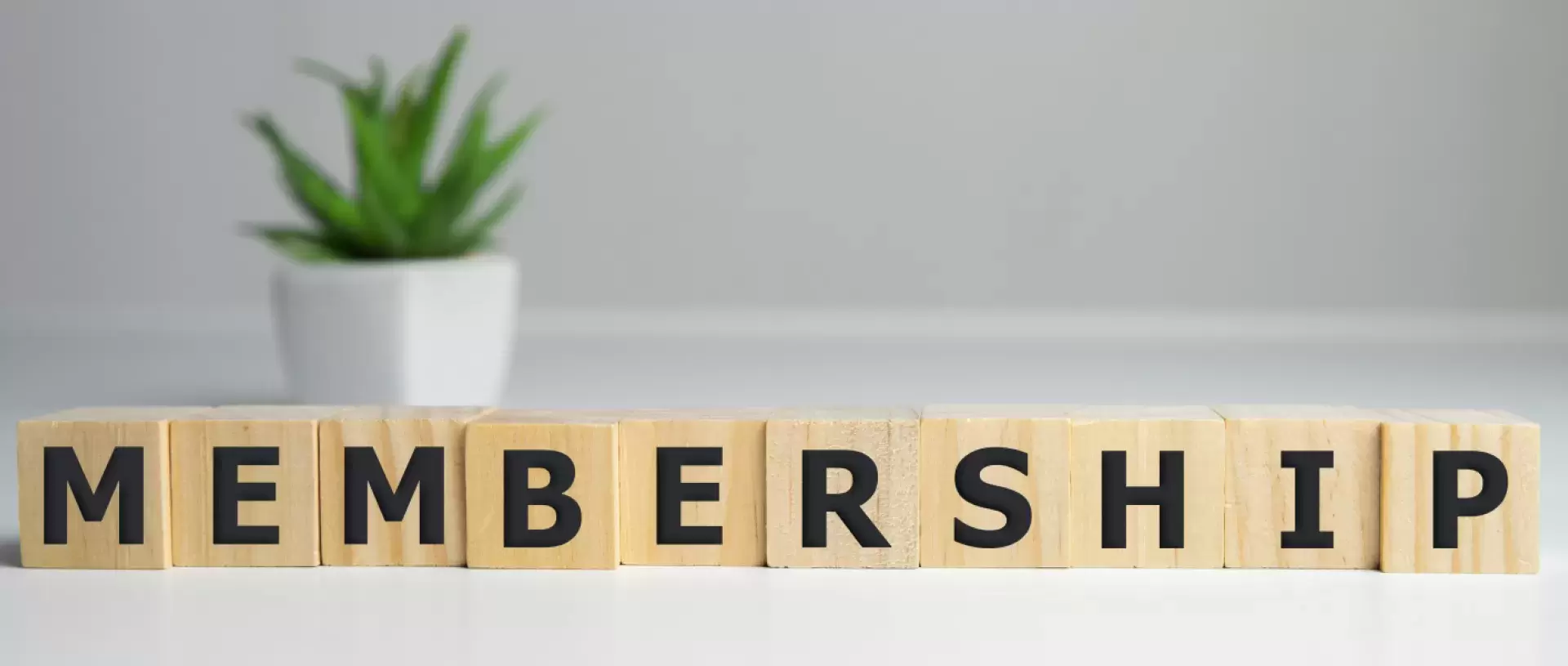 Member area Member area