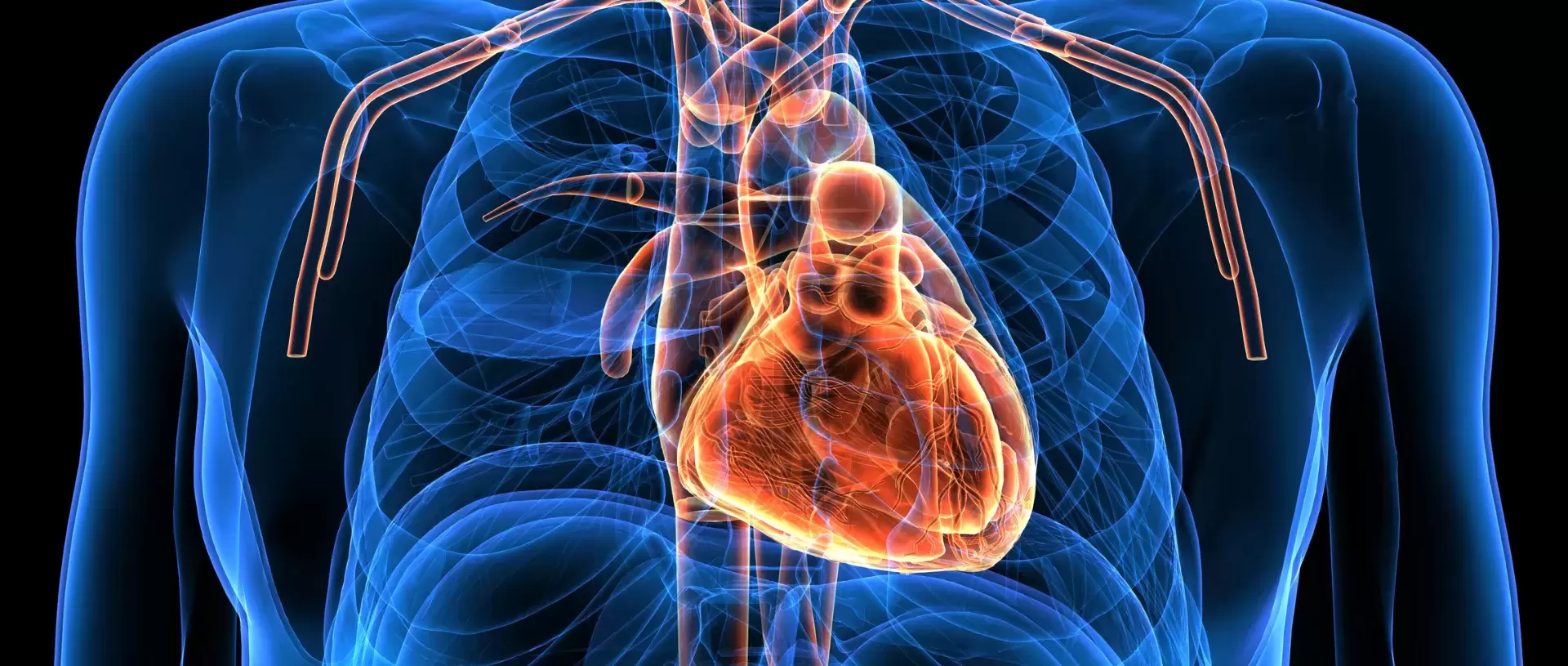 Rolfing® Structural Integration and the "Liberation of the Heart"