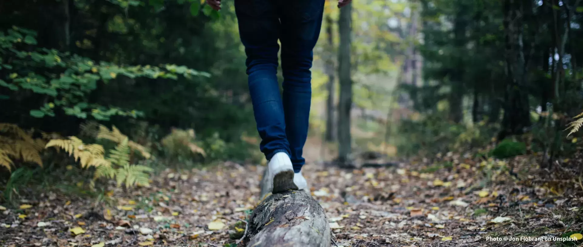 Die Füße und Plantarfaszien im Rolfing®