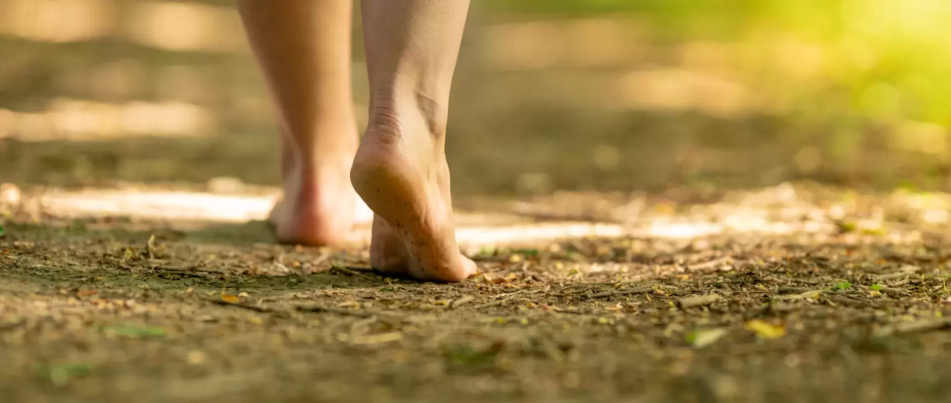 Barefoot in the forest