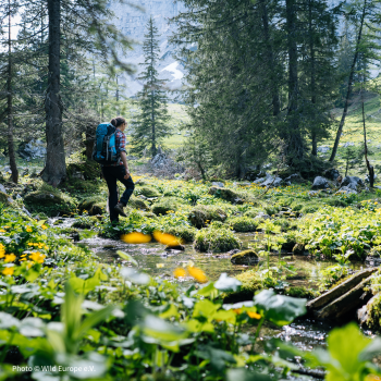 Romana Netzberger hiking Romana Netzberger hiking