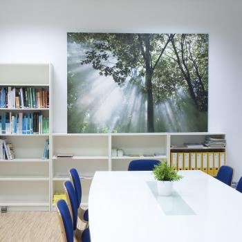 Breakout Room Breakout Room